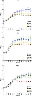 Two Acinetobacter baumannii Isolates Obtained From a Fatal Necrotizing Fasciitis Infection Display Distinct Genomic and Phenotypic Characteristics in Comparison to Type Strains